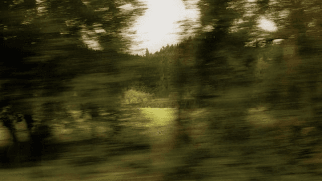 A blurred landscape in motion